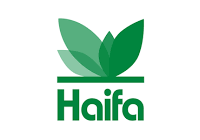 HAIFA HAIFA