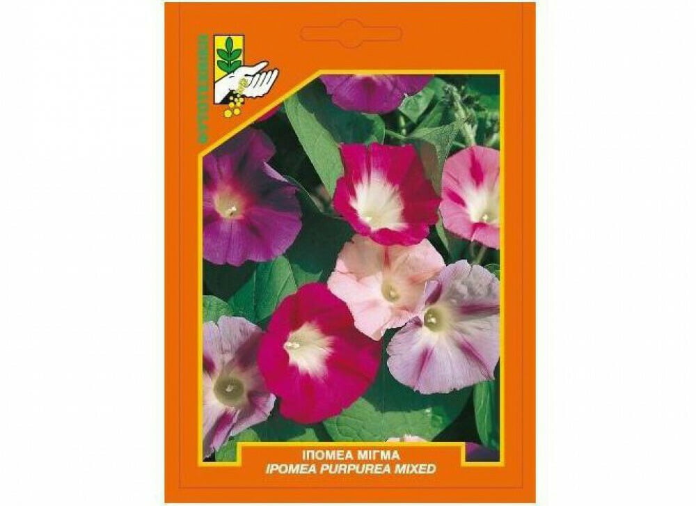 20220407103828_geniki_fytotechniki_athinon_ipomea_migma_7370 ipomea_migma