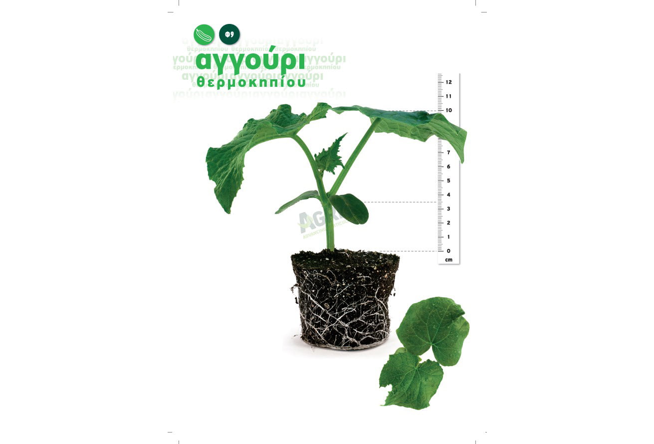 flyer_agris_agouri_f9 aggouri_fyto