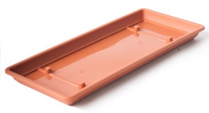 piato_glastras_mojito