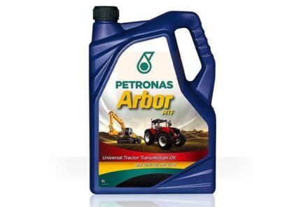 petronas_ladi